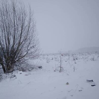 Russisches Flugzeug abgestürzt