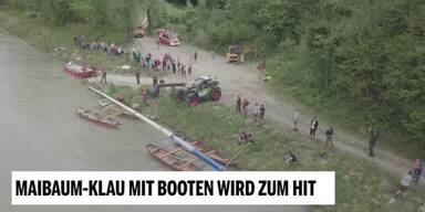 20180501_66_202467_180501_XX_Maibaumklau_OFFMAZ.jpg