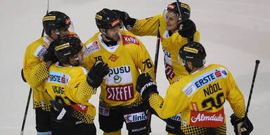 Vienna Capitals Caps