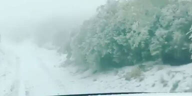 So tief herunter schneite es in Maui noch nie