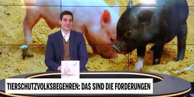 20190304_66_285964_Unsere_Tiere_3_Bohrn_Mena.jpg