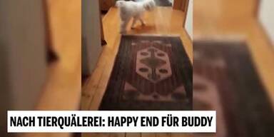 20190311_66_288020_Unsere_Tiere_4_Buddy.jpg
