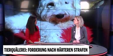 20190311_66_288021_Unsere_Tiere_5_Tierquaelerei_ITV.jpg