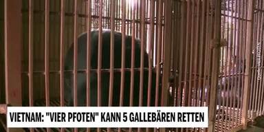 20190325_66_292107_190324_Unsere_Tiere_5_Gallebaeren.jpg