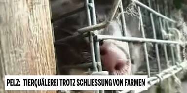 20190423_66_300983_190423_Unsere_Tiere_Pelzfarmen.jpg