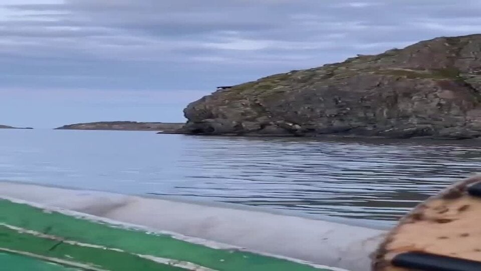 Hier stürzt sich ein Elch von der Klippe