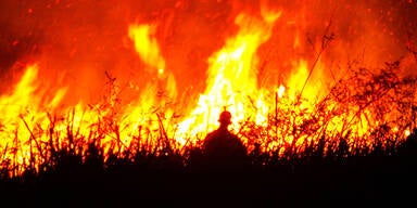 Amazonas Waldbrand Brände feuer