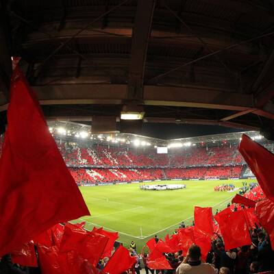 Die besten Bilder zum Bullen-Triumph