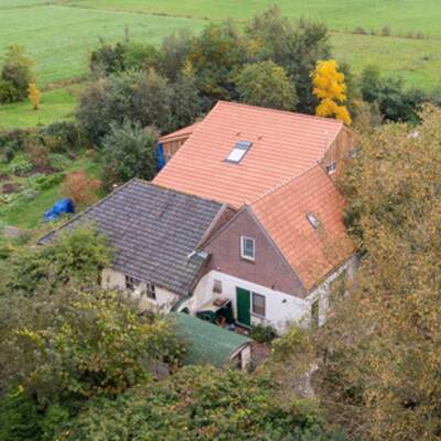 Der große oe24-Jahresrückblick 