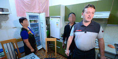 N&auml;chste illegale Teigtaschen-Fabrik in Wien ausgehoben