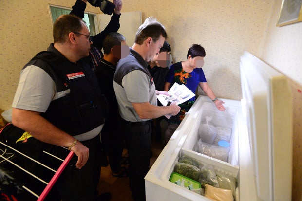 Nächste illegale Teigtaschen-Fabrik in Wien ausgehoben