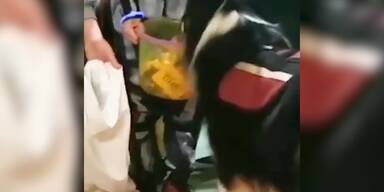 20191029_66_377346_hund_halloween.jpg