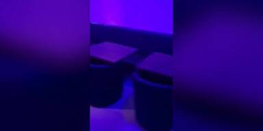 20191103_66_378841_shisha.jpg