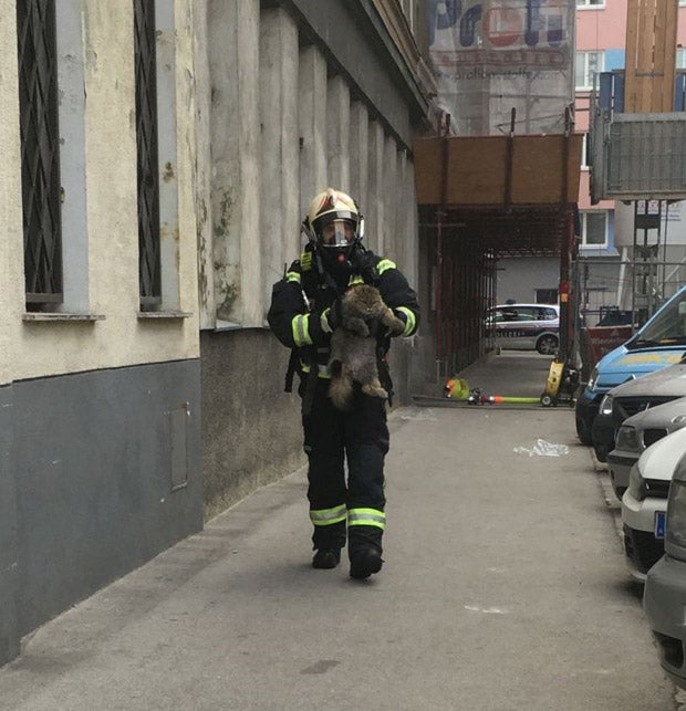 Heldenhafte Rettung: Feuerwehr rettet Baby aus Feuer-Wohnung