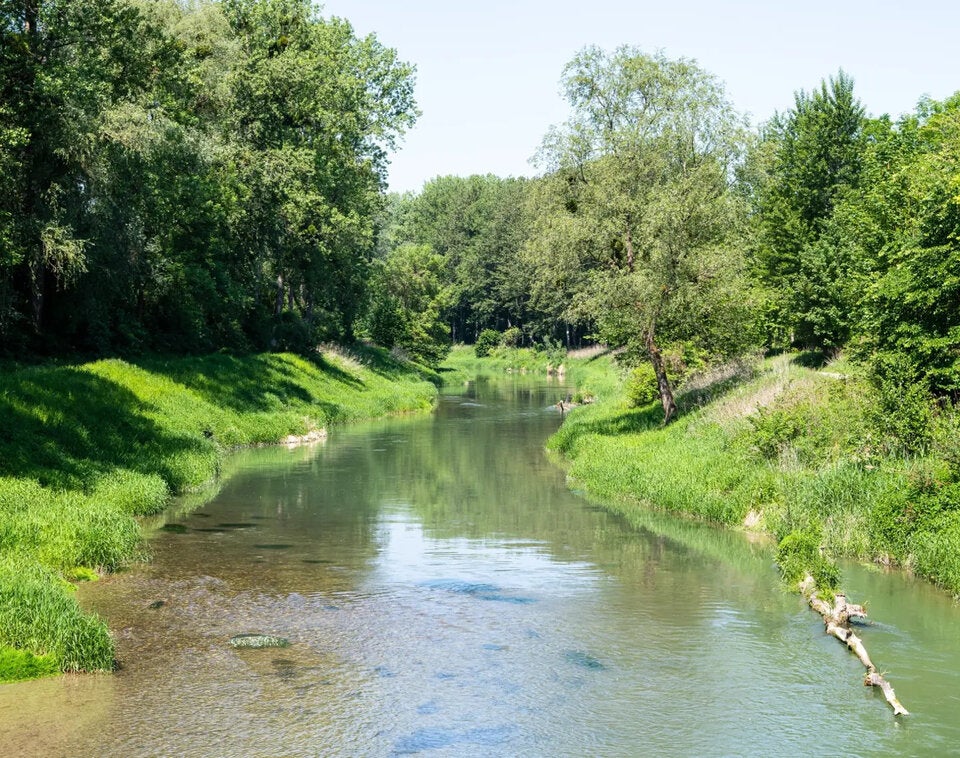 Fische lieben es „barrierefrei“