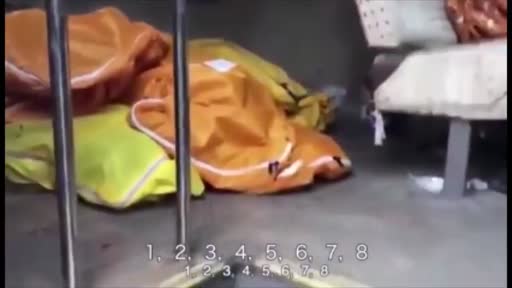Neues Video: Tote, Sterbende auf Spitalsgängen