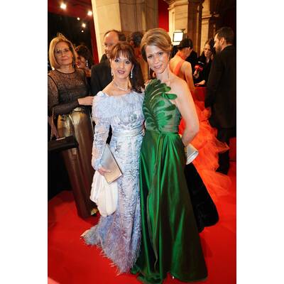 Opernball 2020: Red Carpet