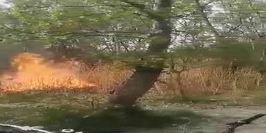 20200418_66_439241_video-1587224186.jpg