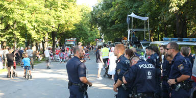 Save the Rave Demo Wien Gegen Kulturstillstand