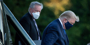 Meadows Trump