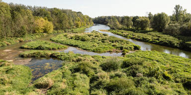 Wasserkraft als Teil der Lösung für Umwelt und Ökologie