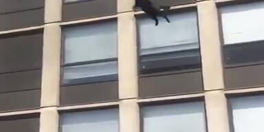 20210515_66_545699_yt1scom_-_Cat_survives_fivestory_leap_from_burning_apartment_building_1.jpg