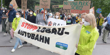 Tausende Teilnehmer bei Lobau-Demo in Wien