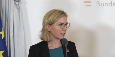 2022-08-02 08_19_45-220801_XX_PK_Gewessler_Krisengipfel_Energieversorgung_GANZ.mxf - VLC media playe.png