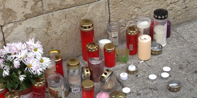 2022-08-08 08_26_50-220808_xx_AS_Hanna_Kellermayr-Gedenkst&auml;tte zerst&ouml;rt_1min01_BM.mp4 - VLC media pl.png