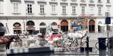 2022-08-08 08_43_30-220808_XX_AS_Marvin_VGT_Petition Hitzefrei Fiaker 30 Grad_1min19_BM.mp4 - VLC me.png