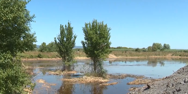 2022-08-11 10_51_27-220811_XX_MAZ_WWF_Warnung_Wasserzuleitung Neusiedler See_1min24_BM.mp4 - VLC med.png