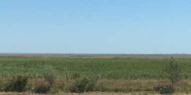 2022-08-12 11_45_57-220812_XX_AS_Julia_Sinkender Grundwasserspiegel_D&uuml;rre_Gefahr Landwirtschaft_2min.png