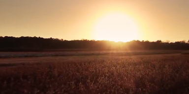 2022-08-18 19_35_14-oe24 &ndash; Opera.png