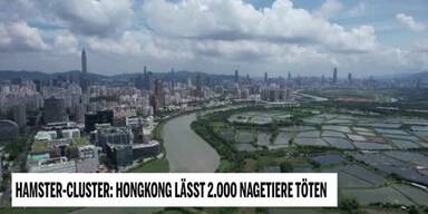 20220118_66_609902_220118_XX_MAZ_Hamster-Cluster_Hong_Kong_2000_Tiere_1min22_BM.jpg