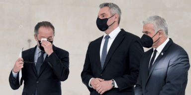 Schallenberg nehammer