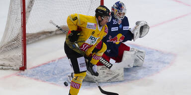 Capitals gegen Salzburg