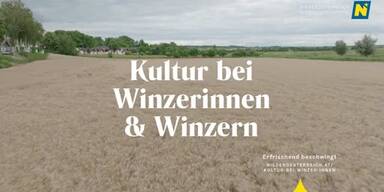 20220715_66_653444_Kultur_bei_Winzerinnen_und_Winzern.jpg
