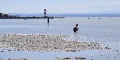 Umweltsch&uuml;tzer warnen vor Donau-Wasser im Neusiedler See