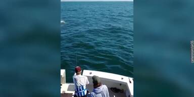 20220902_66_662200_Sharkweek.jpg