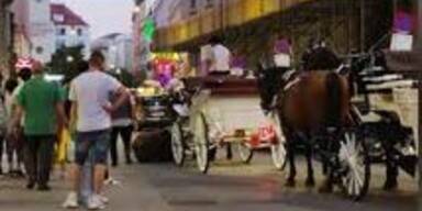 20220908_66_663427_220908_XX_MAZ_schockierendes_video_von_fiaker-unfall_in_wien_051min_ST.jpg