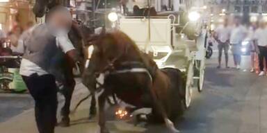 Schockierendes Video von Fiaker-Unfall aufgetaucht