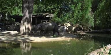 20220922_66_666395_20220922_nashorn_anlage_umbau_clip.jpg