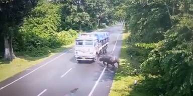 20221011_66_670573_ParveenKaswan.jpg