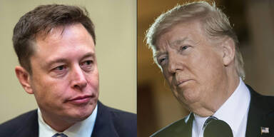 Musk Trump