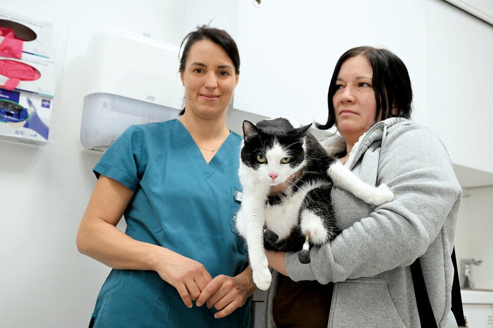 Cyberkatze Pauli Beine 3D-Drucker