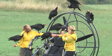 2023-08-10 11_22_45-oe24 &ndash; Opera.png