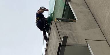 Sittich verfing sich in Taubenabwehrnetz