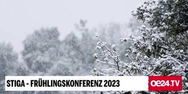 20230209_66_698403_STIGA_inserts_HEADLINE_1.jpg