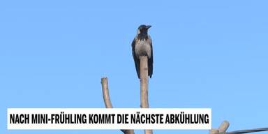 20230410_66_713155_230410_XX_AS_David_Wetter_nach_mini_Fruehling_kommt_die_naechste_Abkuehlung_1min30.jpg