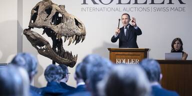 Auktion T-Rex Trinity